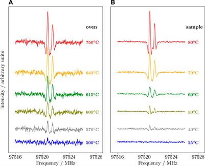 From the laboratory to the interstellar medium: a strategy to search for exotic molecules in space